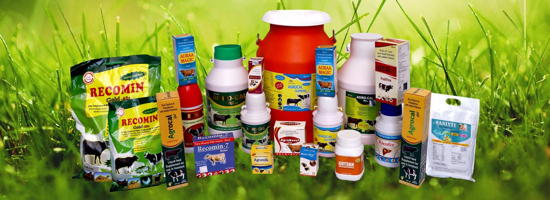 Animal Feed Supplement Manufacturers in India, Poultry Feed Supplement